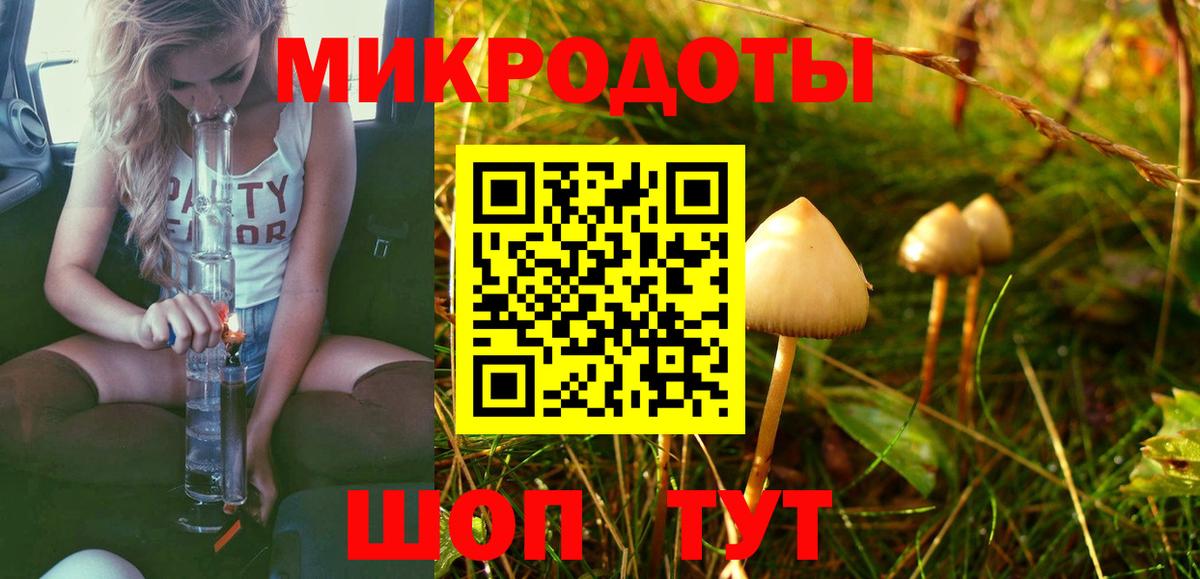 Киселёвск  Псилоцибиновые грибы прущие грибы  Вход с VPN 